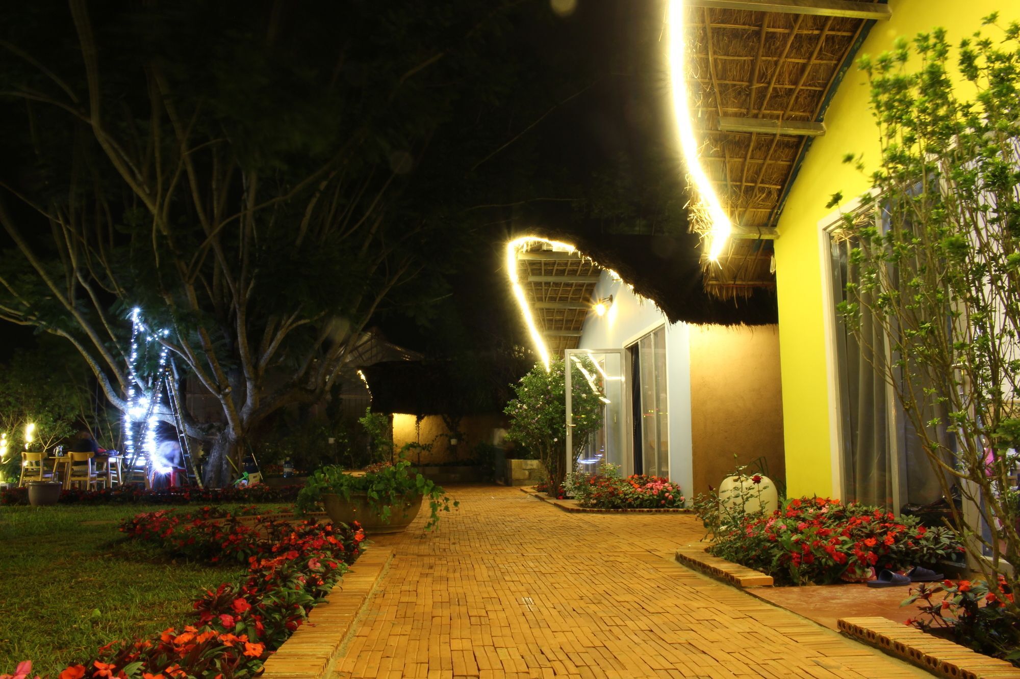 Cocoon Bungalow Da Lat Eksteriør billede